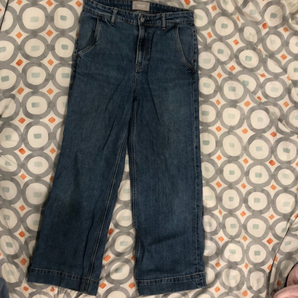 Everlane The Wide Leg Jean Sz30 EUC